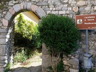 Castello all'asta ad asso via curioni