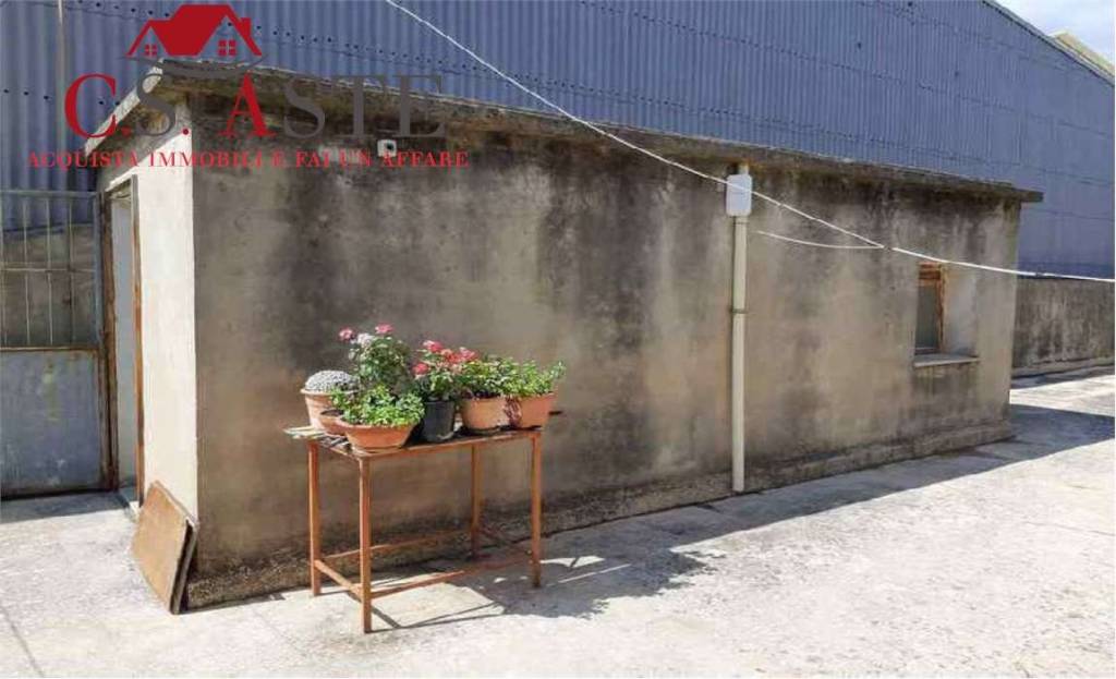 immagine annuncio 12 di 14
