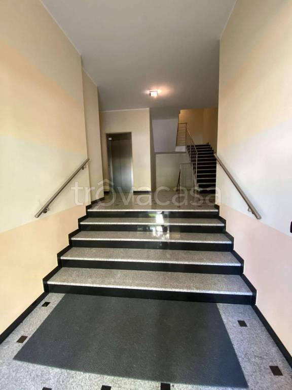 immagine annuncio 5 di 8