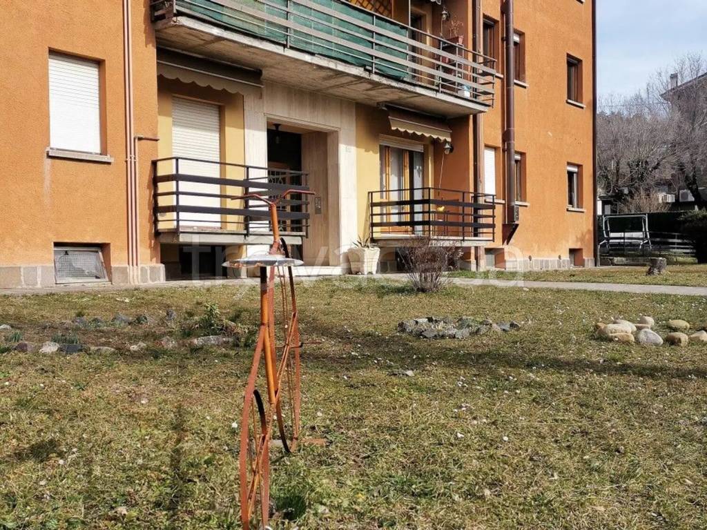 immagine annuncio 1 di 12