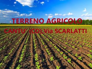 Terreno agricolo in vendita a cantù via domenico scarlatti