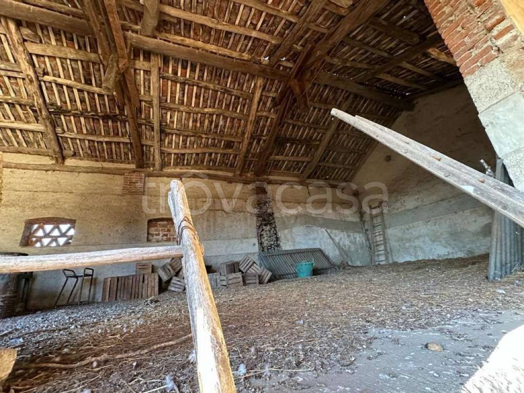 immagine annuncio 12 di 14