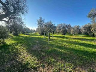 Terreno residenziale in vendita a san vito dei normanni contrada pezza d'acqua fresca