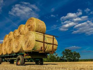 Terreno agricolo in vendita a casnate con bernate via torino