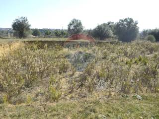 Terreno agricolo in vendita a grammichele 