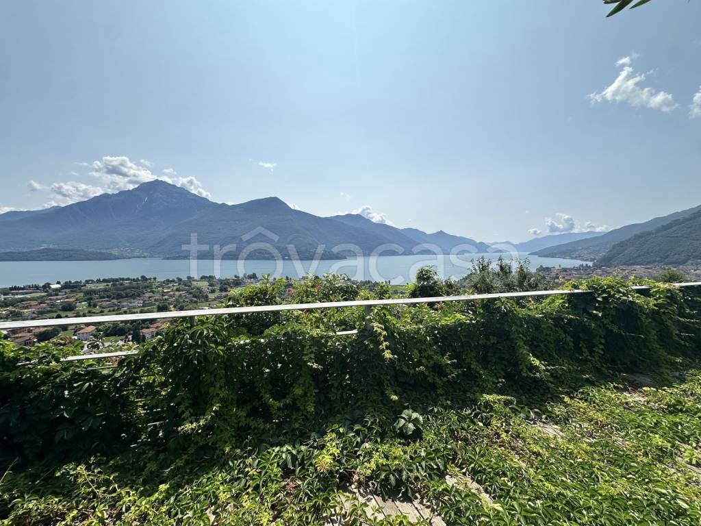 immagine annuncio 10 di 14