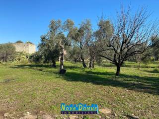 Terreno agricolo in vendita a molfetta strada vicinale valascia