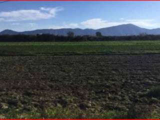 Terreno agricolo all'asta a cellole strada provinciale campo felice