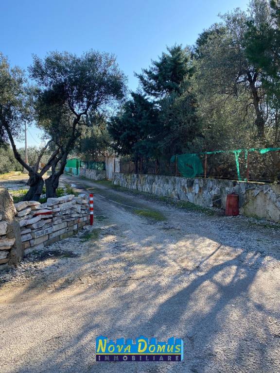 immagine annuncio 6 di 7