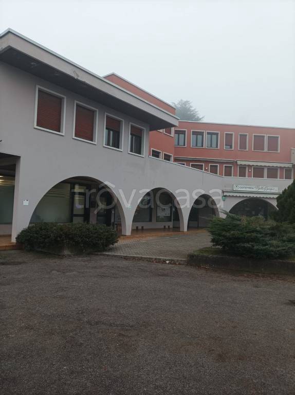 immagine annuncio 3 di 8