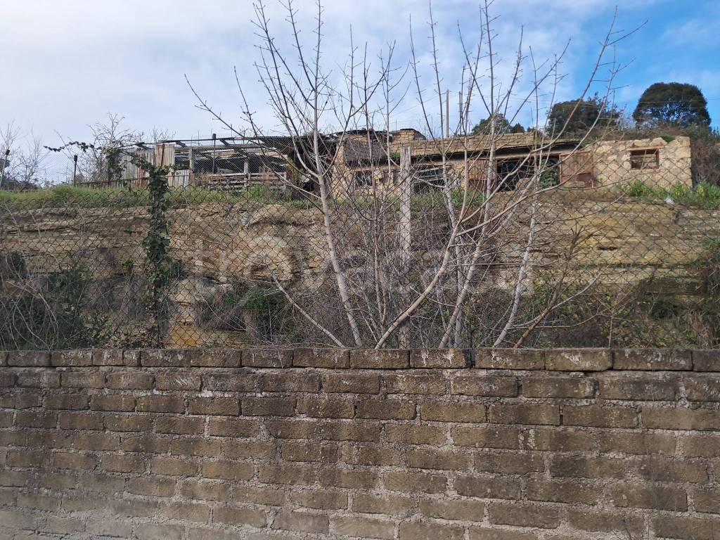 immagine annuncio 6 di 11