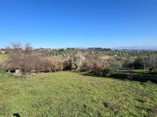 Terreno agricolo in vendita a capena via madonna due ponti