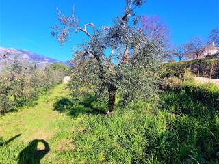 Terreno agricolo in vendita a minturno via luigi cadorna