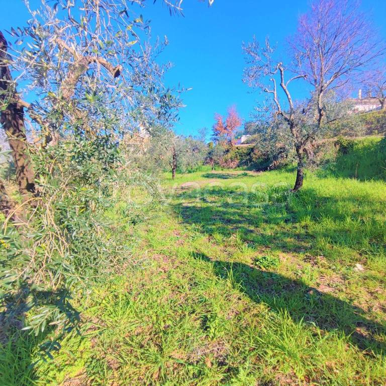 immagine annuncio 2 di 11