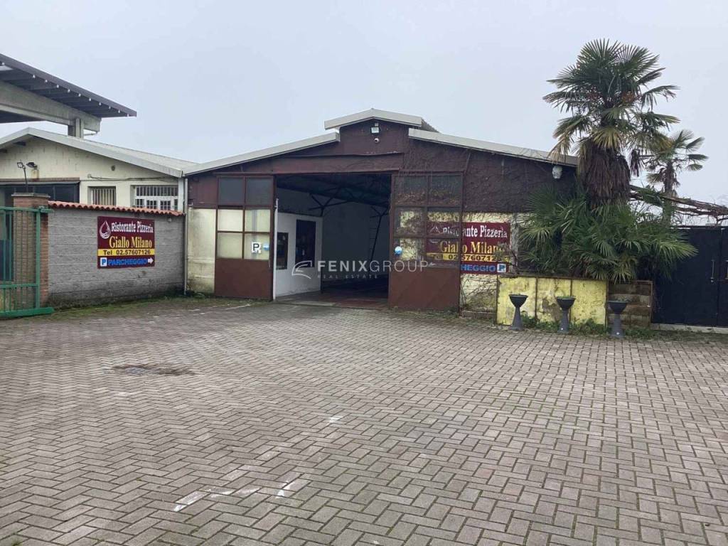 immagine annuncio 3 di 15