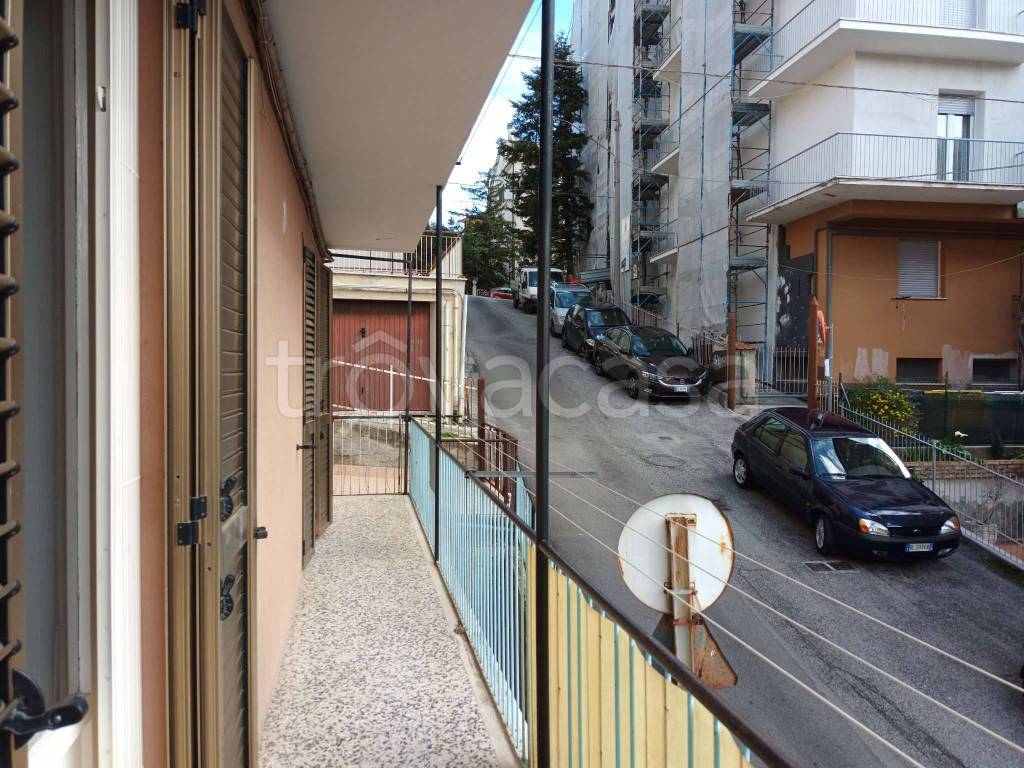 immagine annuncio 9 di 14