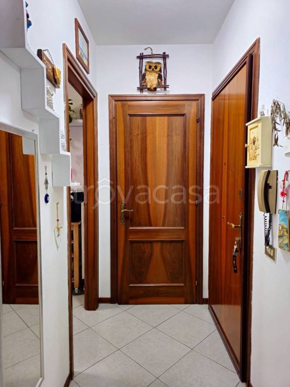 immagine annuncio 6 di 14