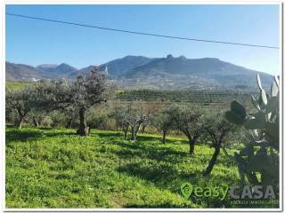 Terreno agricolo in vendita a montecorvino rovella contrada pezze, 16