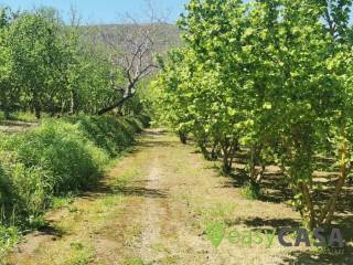 Terreno agricolo in vendita a montecorvino rovella strada comunale canala occiano s.n.c.