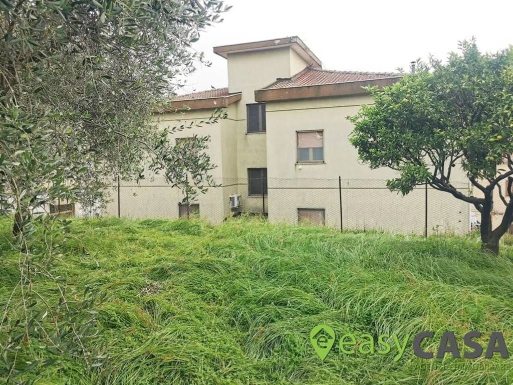 immagine annuncio 5 di 11