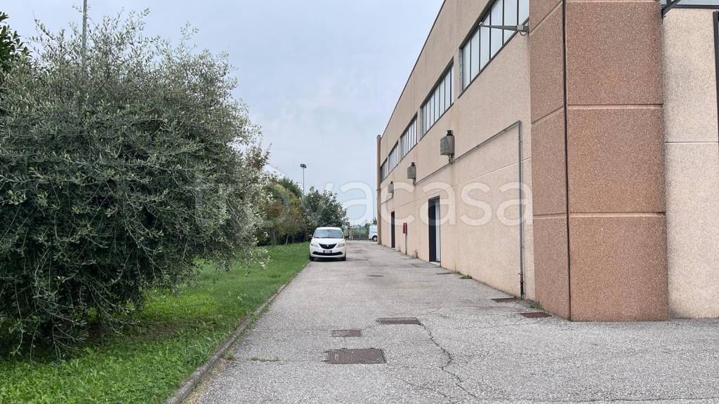 immagine annuncio 8 di 9