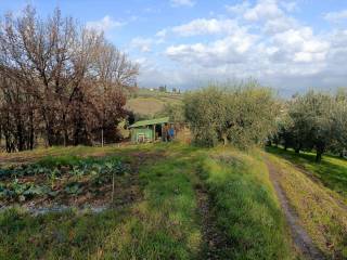 Terreno agricolo in vendita a carmignano via baccheretana