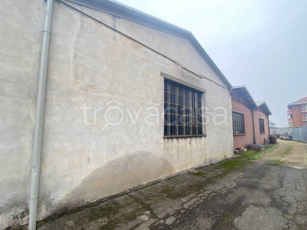 immagine annuncio 2 di 12