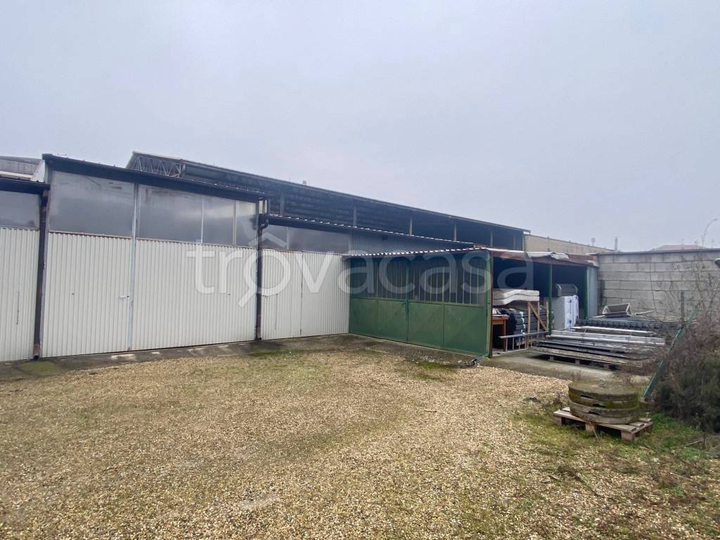 immagine annuncio 6 di 12