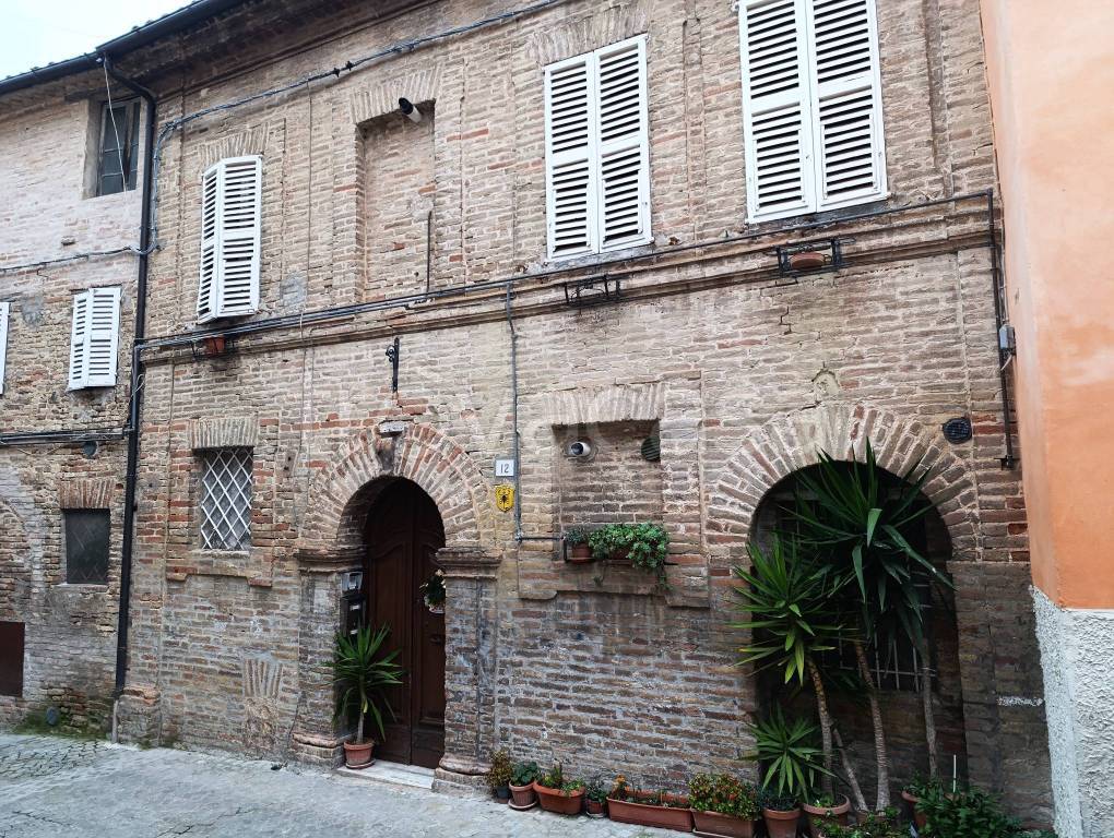 immagine annuncio 9 di 14
