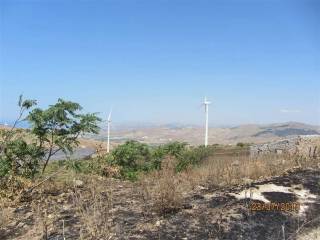 Terreno agricolo in vendita a naro 