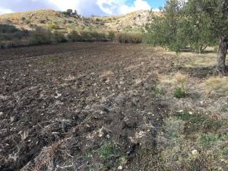 Terreno agricolo in vendita a naro 