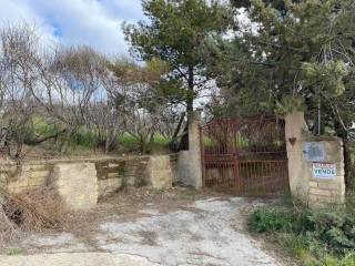 Terreno agricolo in vendita a naro 