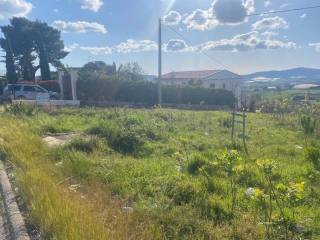 Terreno agricolo in vendita a naro 