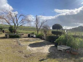 Terreno agricolo in vendita a naro 