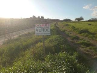 Terreno agricolo in vendita a montallegro 