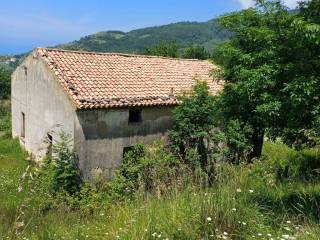 Terreno agricolo in vendita a cetraro località porcili