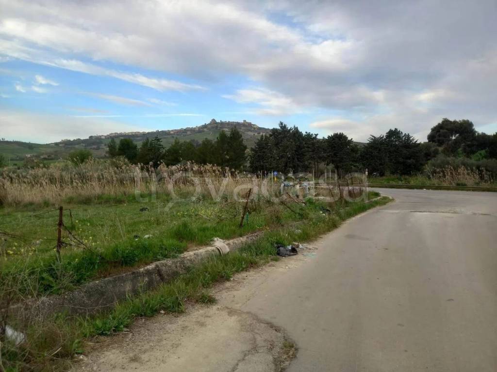 immagine annuncio 5 di 8