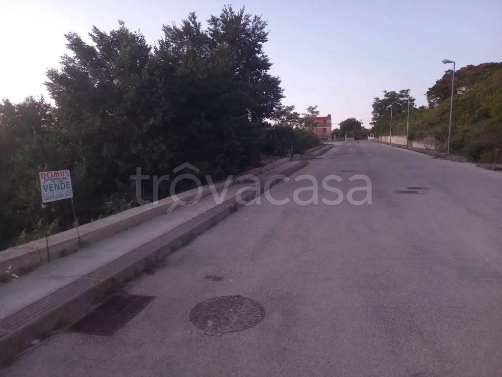 immagine annuncio 4 di 6