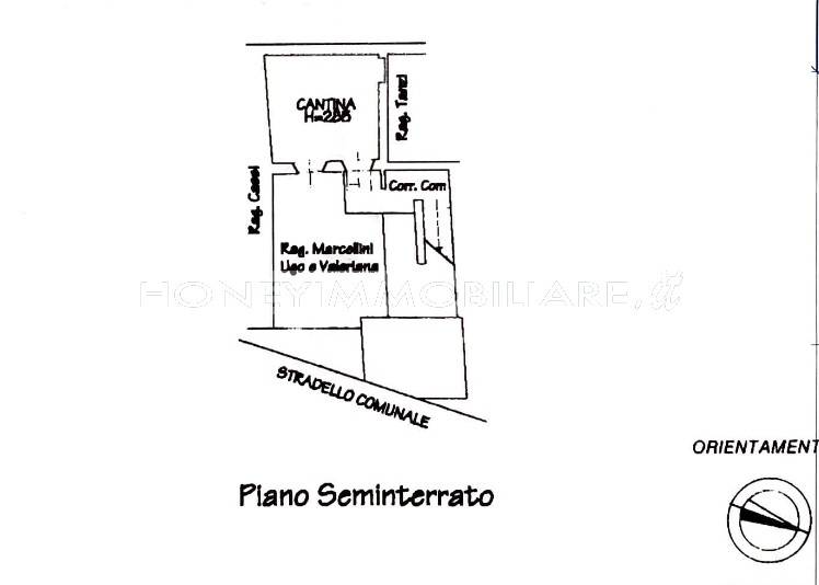 immagine annuncio 11 di 12