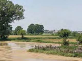 Terreno agricolo all'asta a cava manara via aliarolo