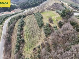 Terreno agricolo in vendita a mezzane di sotto via caiò