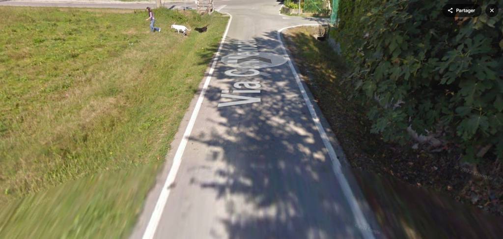 immagine annuncio 6 di 14