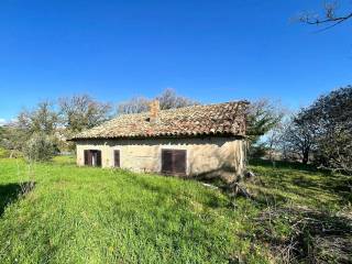 Terreno agricolo in vendita a davoli viale dei caduti