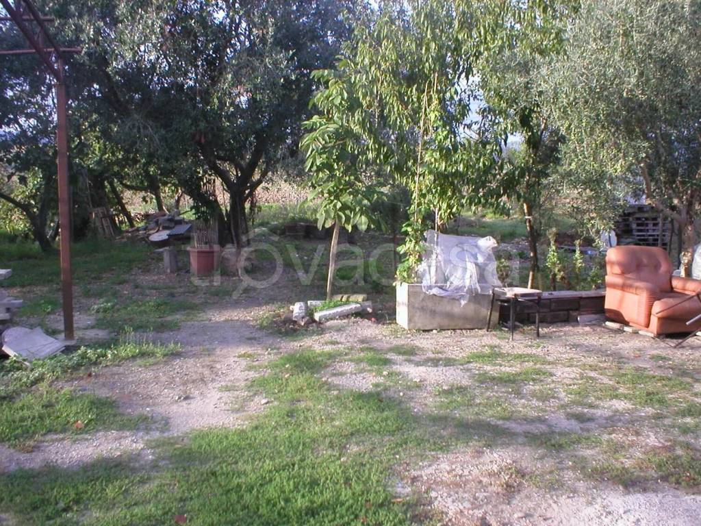 immagine annuncio 4 di 6
