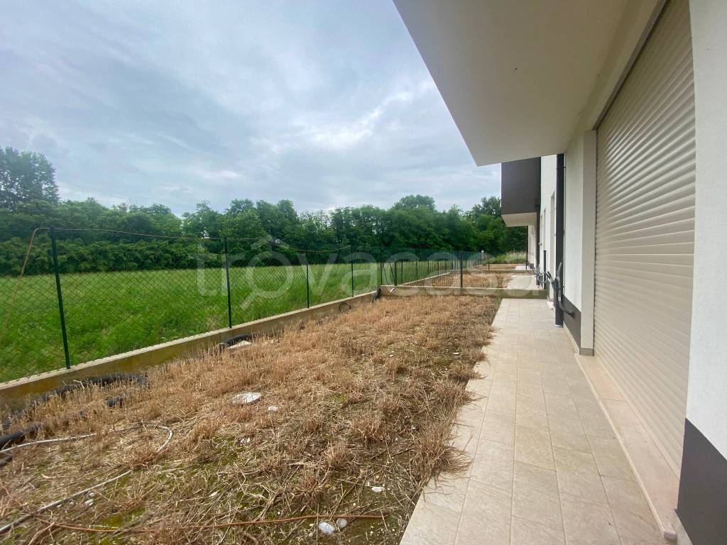 immagine annuncio 7 di 11