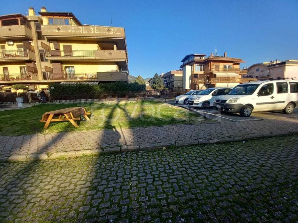 immagine annuncio 13 di 14
