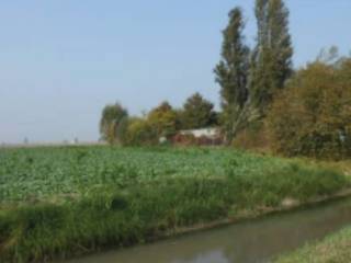 Terreno agricolo all'asta a cerea via passiva