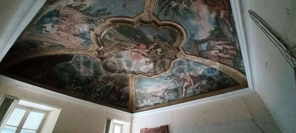 immagine annuncio 2 di 14