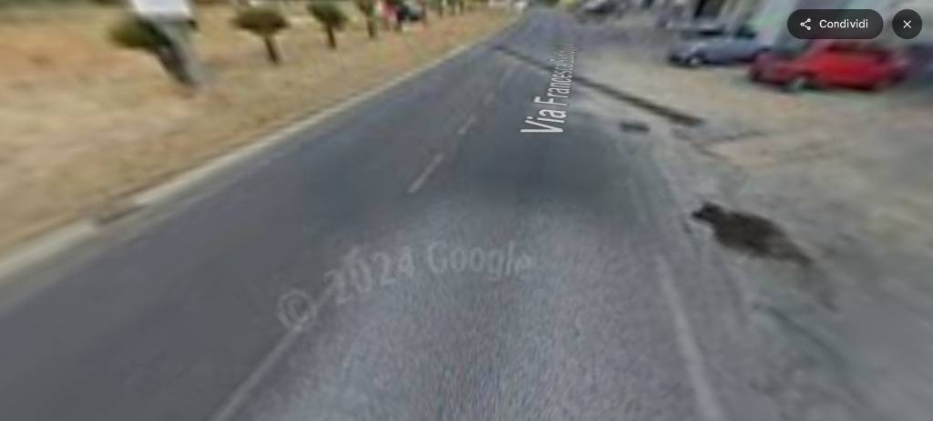 immagine annuncio 11 di 15