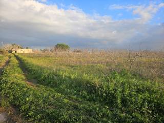 Terreno agricolo in vendita ad alezio strada provinciale san nicola alezio taviano